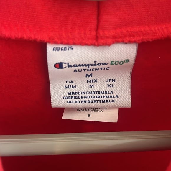 Typical Gamer Champion Hoodie - Picture 3 of 3